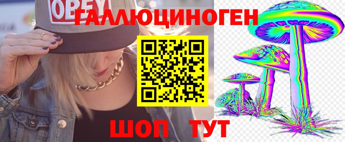 Минеральные Воды  Псилоцибиновые грибы Psilocybe  Вход с VPN  Галлюциногенные грибы Psilocybe 