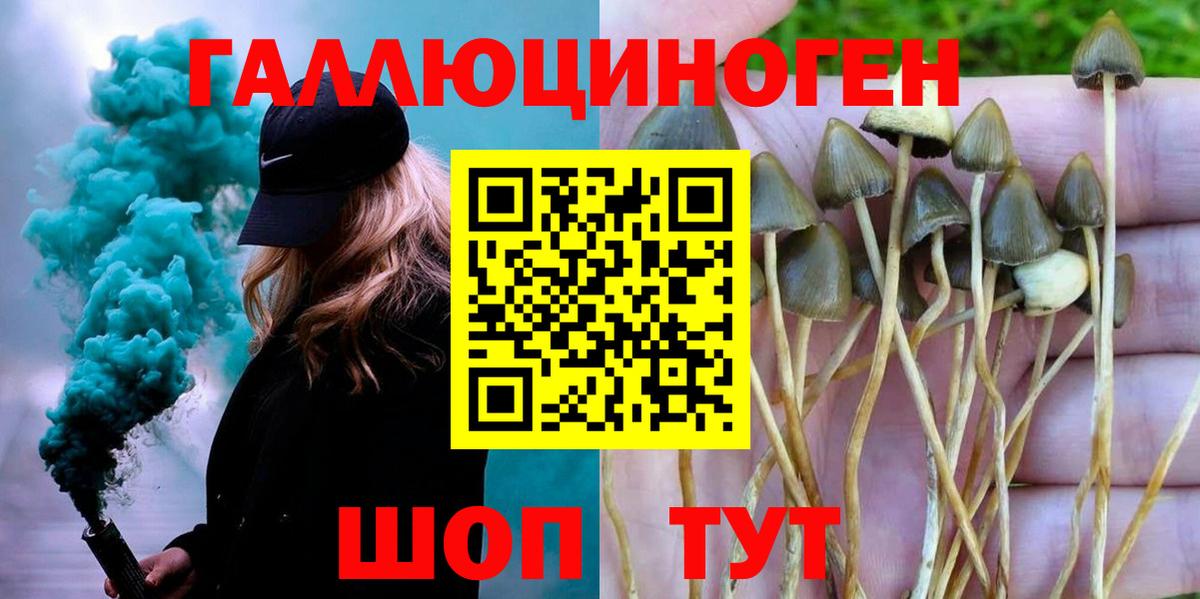 Псилоцибиновые грибы Cubensis Минеральные Воды